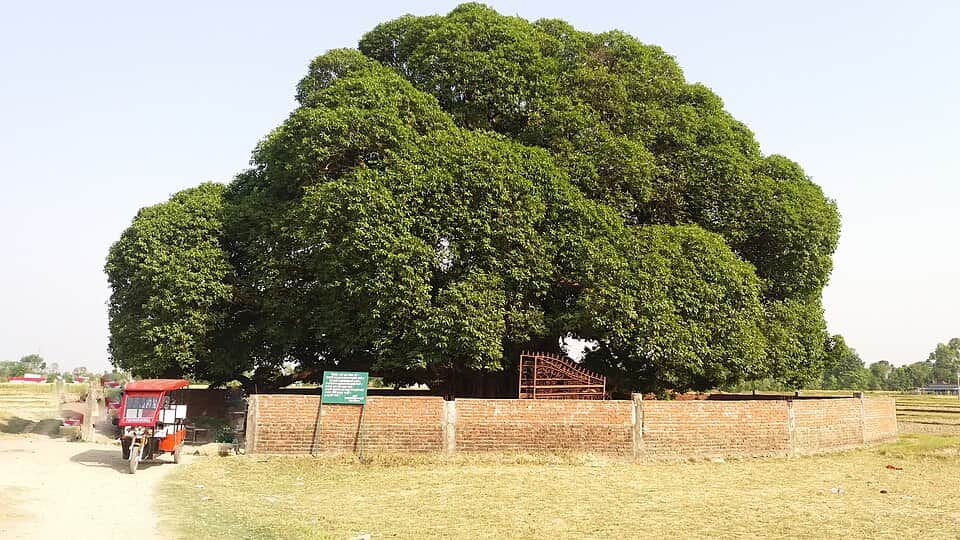 Devdaha