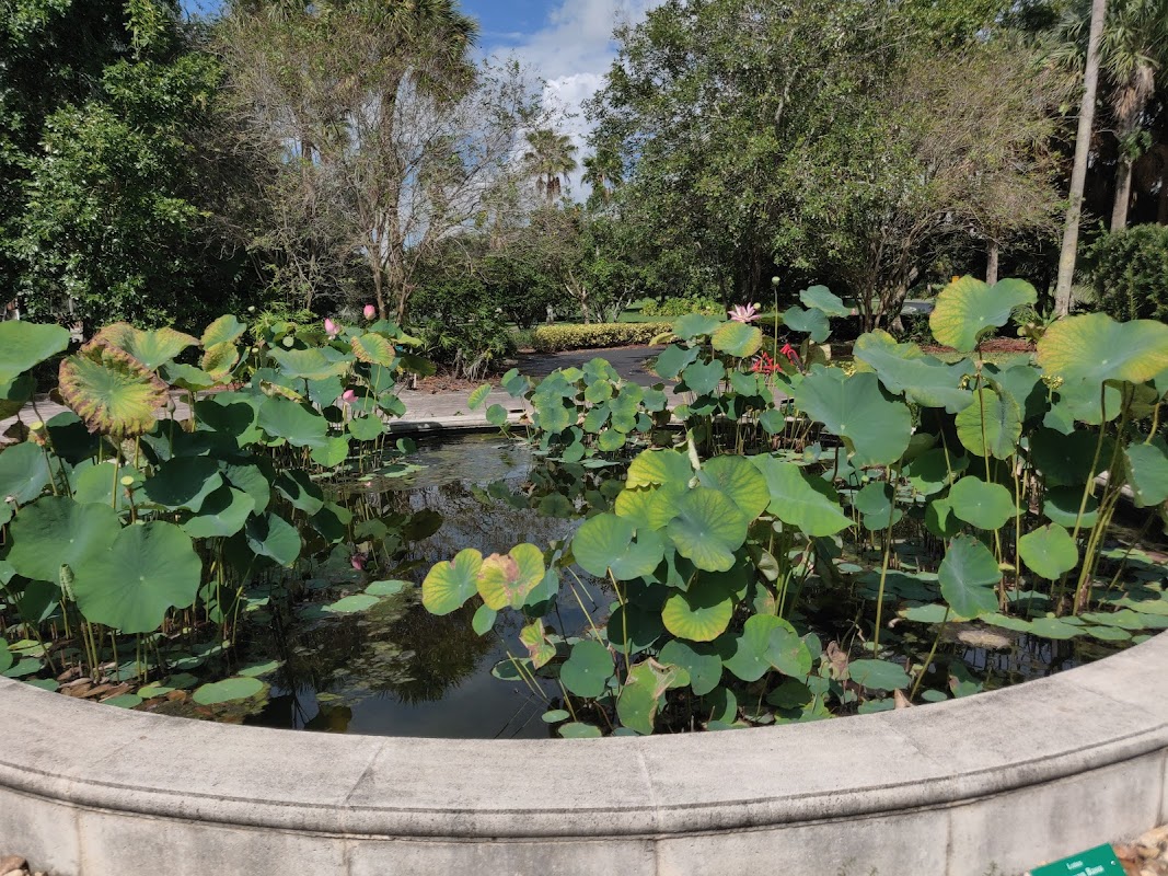 FNCC - Florida Nature & Culture Center / Soka Gakkai International-USA