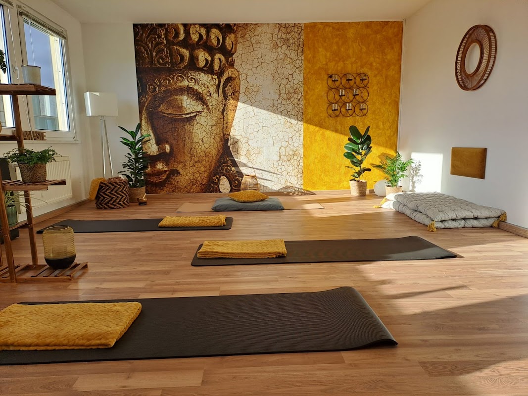 Meditationspraxis Schmidt