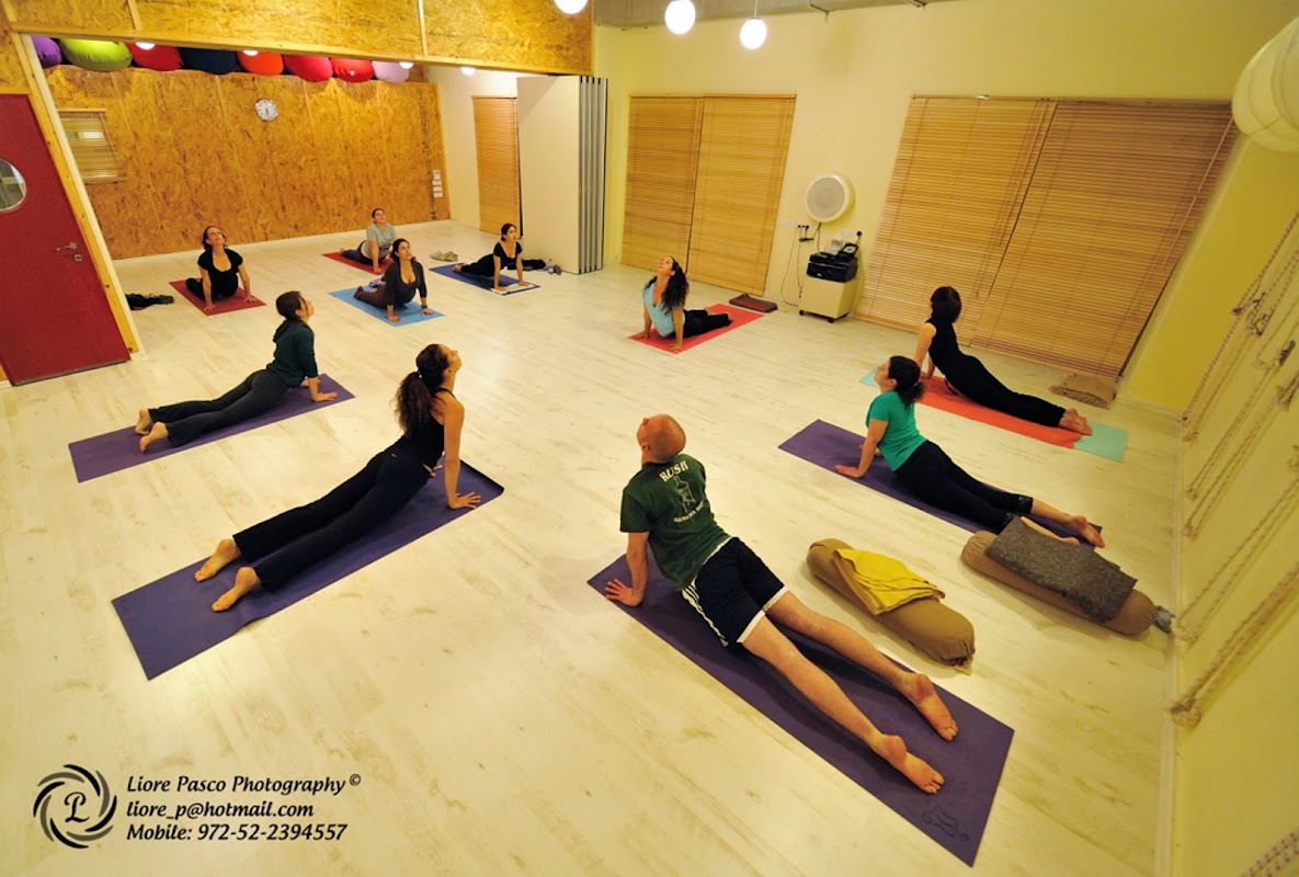 Dharma Yoga Center