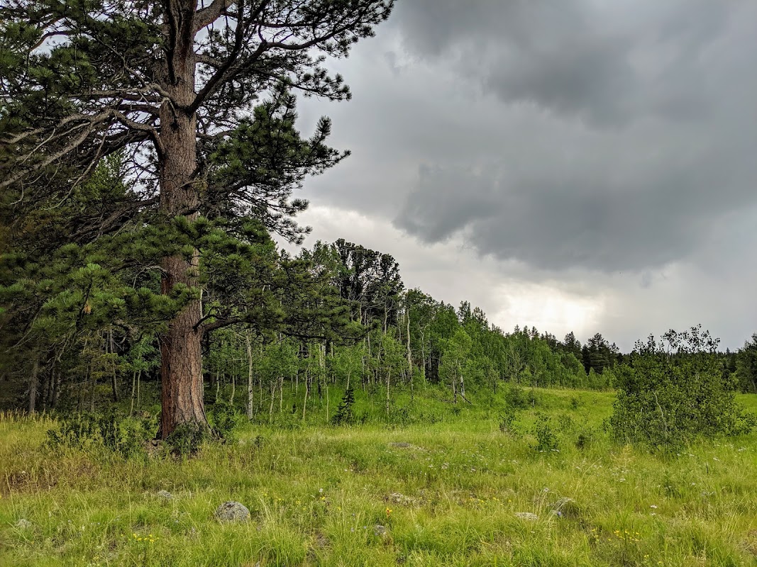 Rocky Mountain Dharma Association