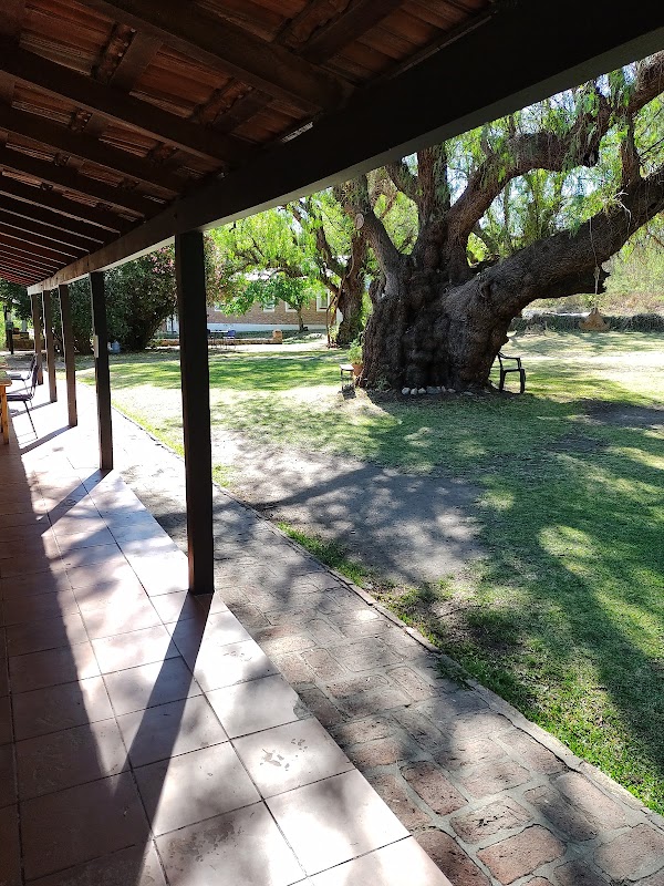 Dhamma Viriya